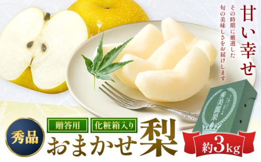 おまかせ梨 3㎏ 贈答用化粧箱（5～9玉） 日本フルーツ株式会社 《8月上旬-10月上旬頃出荷予定》 熊本県 長洲町 なし 和梨 果物 熊本県産 フルーツ デザート ギフト ご贈答