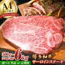 【ふるさと納税】【選べる定期便】【溢れる肉汁と濃厚な旨味】博多和牛 サーロイン ステーキセット 500g（250g×2枚）肉 定期便 広川町/株式会社MEAT PLUS[AFBO005]