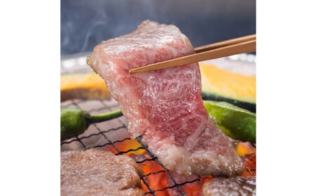 牛肉 焼肉 A5～A4 博多和牛 厳選セット 計1150g 焼肉たれ 塩胡椒付 化粧箱入 ※配送不可:離島