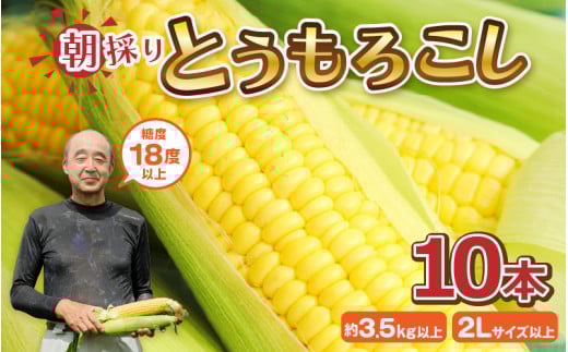 とうもろこし 10本 (1本：2Lサイズ以上 370g～450g) 『メロンより甘い』もろこしやの朝取れとうもろこし ～驚きの糖度18度以上！～ (わくわくコーン) 【イエローコーン スイートコーン 黄甘コーン 旬の味覚 朝採れ 新鮮  野菜 甘い バーベキュー BBQ アウトドア キャンプ 産地直送】 [A-7102]