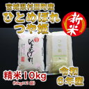 【ふるさと納税】【新米】令和6年産 ひとめぼれ・つや姫 精米10kg(5kg×2) 食べ比べ 宮城県村田町産【1241457】