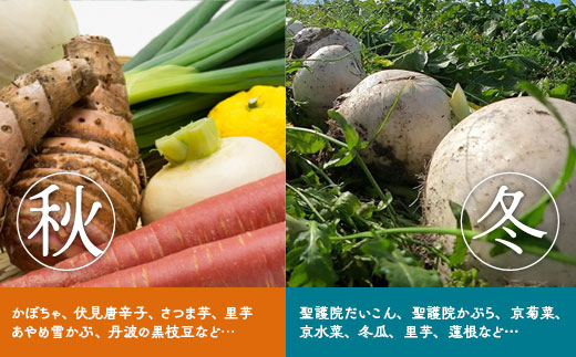 【3回定期便】旬の京野菜　毎月お届けスペシャルコース（全3回）《野菜定期便 野菜詰め合わせ 野菜セット 京野菜 旬の野菜 新鮮野菜 有機野菜 減農薬》