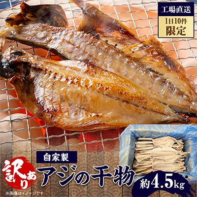 ふるさと納税 大網白里市 【1日10件限定】出来立て!工場直送! 自家製アジの干物 合計約4.5kg 訳あり