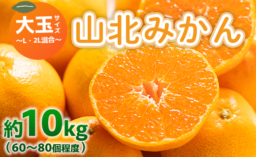 山北みかん 大玉サイズ(L,2Lサイズ) 10kg 約60～80個入り 甘い - 果物 フルーツ 柑橘類 温州みかん ミカン 蜜柑 甘い おいしい 美味しい 山北みらい 高知県 香南市 yk-0065