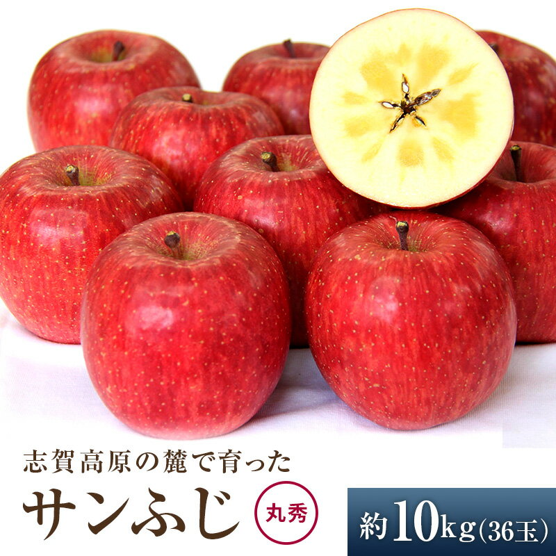 【ふるさと納税】志賀高原の麓で育った サンふじ 丸秀36玉 約10kg 【 りんご 10kg フルーツ 果物 デザート 長野県 長野 】　お届け：2026年12月1日～10日頃発送予定 ※日時指定不可