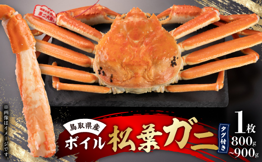 鳥取県産　タグ付きボイル松葉ガニ大1枚(800～900g)【配送不可地域：離島・北海道・沖縄県】