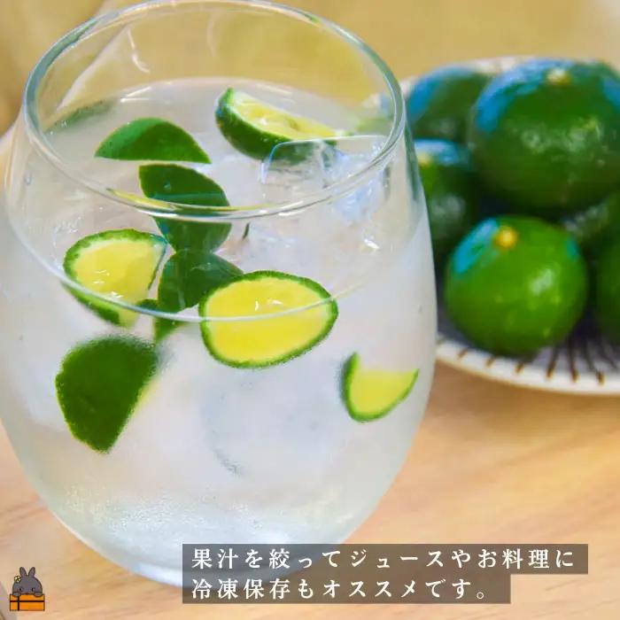 《今が旬！》世界自然遺産の島の青切りシークワァーサー（1㎏）※冷蔵配送 ( 農家直送 シークワーサー シークヮーサー みかん 徳之島 仲農園 )
