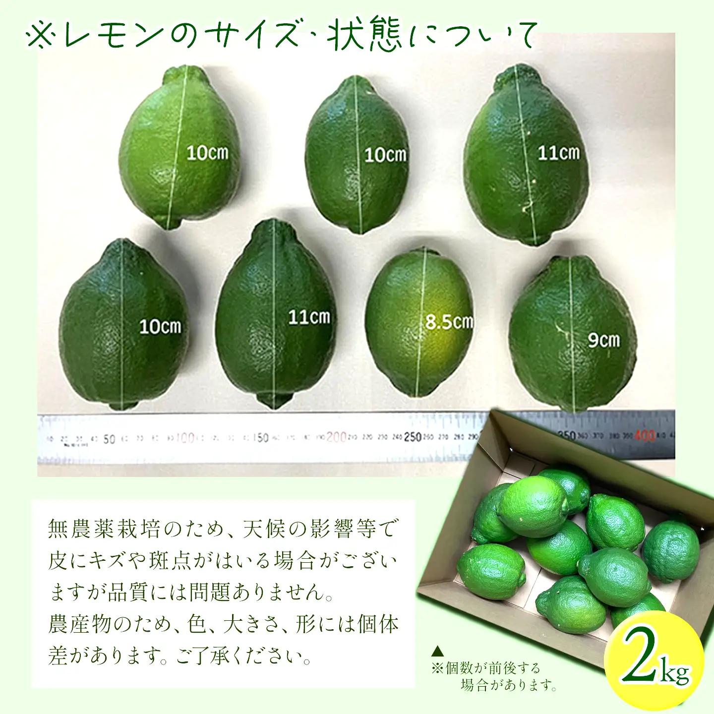 グリーン レモン  璃の香 2㎏｜れもん 有機 オーガニック 国産 愛媛県 西条市
