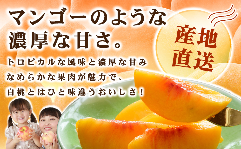 【先行予約】2026年9月発送【家庭用】岡山県産 黄金桃 4kg 4kg