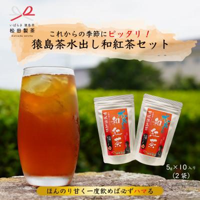 ふるさと納税 茨城県 水出し和紅茶/5g×10(2袋)【本格的な紅茶】ティーバッグ TBG-008