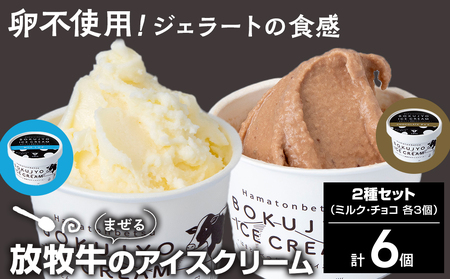 放牧牛 アイスクリーム2種（ミルク・チョコ　各3個）計6個 【池田牧場】 アイス スイーツ デザート 冷凍 卵不使用 北海道ふるさと納税