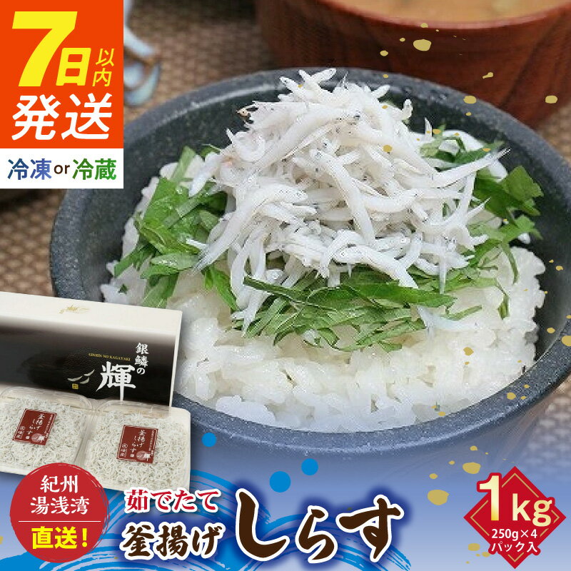 【ふるさと納税】《7日以内発送》 高評価★4.84 優良県産品 認定 釜揚げしらす 冷蔵 冷凍 選べる 1kg 250g × 4パック 茹でたて 釜揚げ しらす 無着色 安心 安全 赤穂の塩 新鮮 国産 海の幸 海鮮 魚介 紀州湯浅湾直送 まるとも海産 お取り寄せ 和歌山県 湯浅町 送料無料
