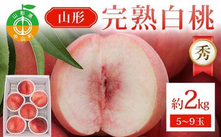 《2026年発送先行予約》山形完熟白桃 約2kg 5～9玉 秀 完熟白桃 果物 くだもの 桃 もも フルーツ 山形県産 F4A-0943