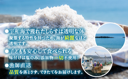 【愛媛県・佐田岬直送】木嶋水産の釜揚げしらす（2kg×6パックセット） ※着日指定不可 ※離島への配送不可