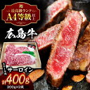 広島牛 サーロイン ステーキ用 400g （200g×2枚） 三次市 / 広島三次ワイナリー[APAZ035]