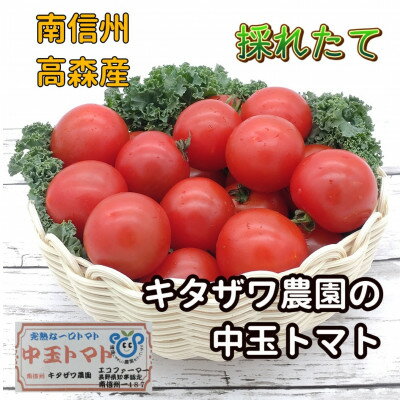 【ふるさと納税】【南信州高森産】旬の採りたて完熟中玉トマト(カンパリ)バラ詰め2kg＜7月中旬より発送＞【配送不可地域：離島】