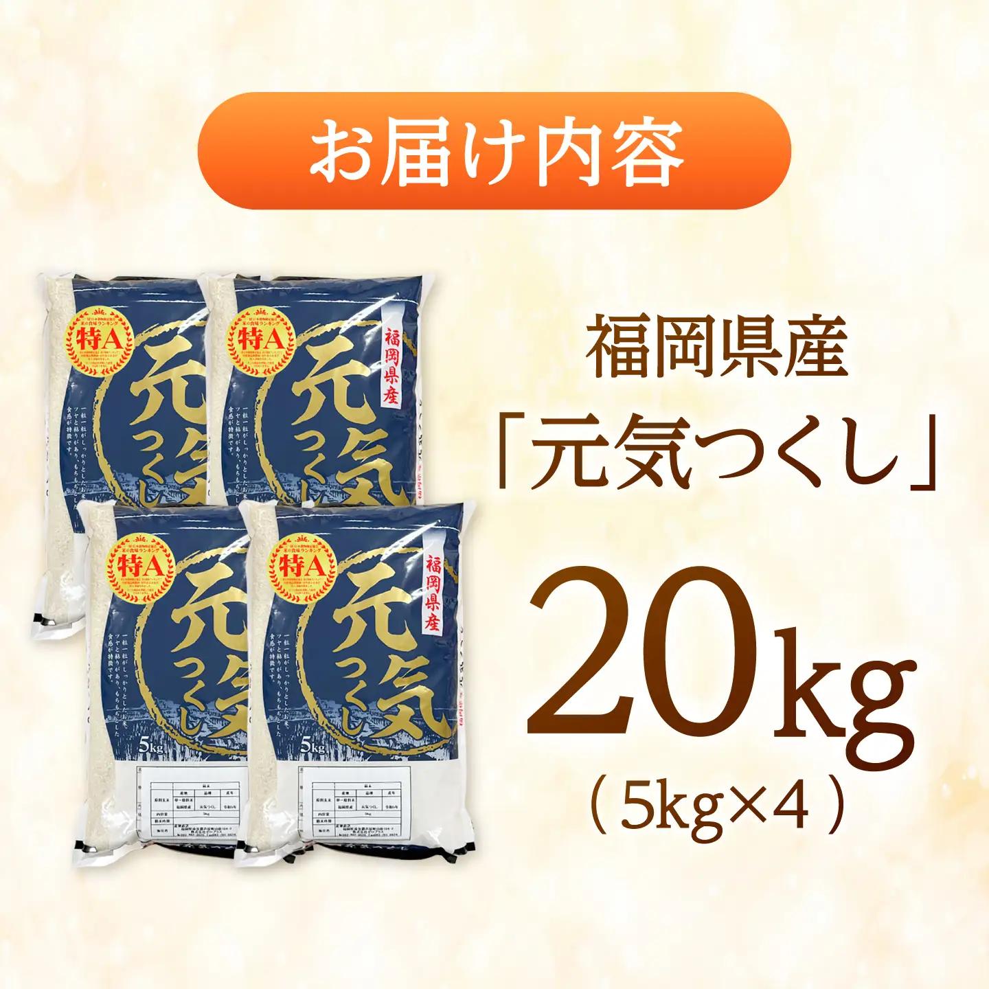 【先行予約】【令和7年産】元気つくし白米20kg(5kg×4袋)[BGAA094] 大容量 大容量
