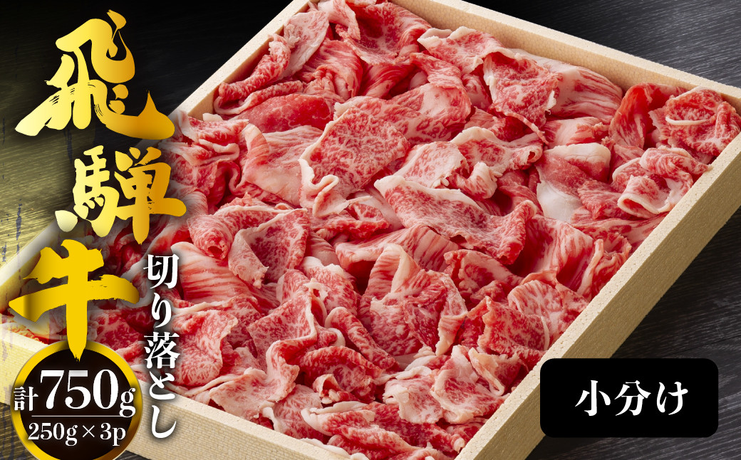
            飛騨牛切り落し 750g (250g×3p) 牛肉 和牛 国産 すきやき 肉じゃが カレー ビーフシチュー 肉野菜炒め だるまミート 14000円 [S932] 
          