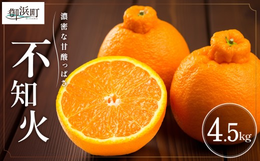 【2026年発送 先行予約品】濃密な甘酸っぱさ！ミカファームの不知火4.5キロ【数量限定 果物 フルーツ みかん 不知火 しらぬい デザート 4.5kg 三重県 御浜町】