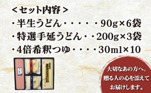 【味にこだわるならコレ！】 五島手延うどん 半生うどん・特選手延うどんセット つゆ付【ますだ製麺】 [RAM025]