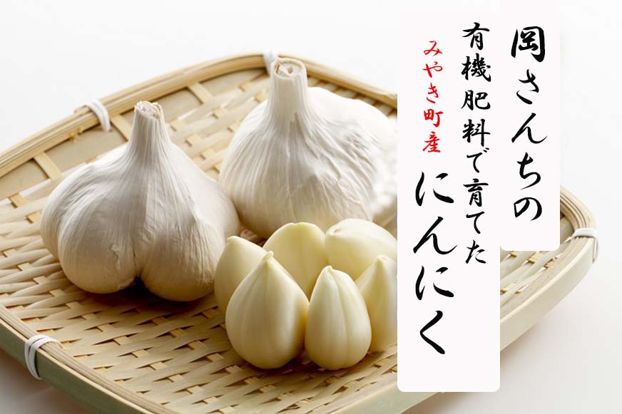 BE013_佐賀県みやき町岡さんちのニンニク（にんにく）15個【ご家庭ストックにぴったり】国産にんにく