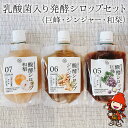 【ふるさと納税】乳酸菌入り発酵シロップセット(巨峰・ジンジャー・和梨) 蛍茶園 手作り 乳酸菌発酵 農薬不使用 デザート 炭酸割り 温活 飲む発酵食品 ギフト プレゼント 大分県産 九州産 中津市 国産 送料無料／熨斗対応可 お歳暮 お中元 など