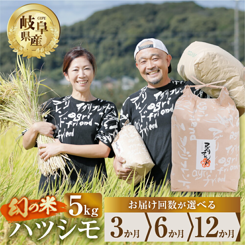 【ふるさと納税】【 定期便 】選べる ハツシモ 5kg × 3回 6回 12回 3か月 6か月 12ヶ月 令和8年産 2026年 先行予約 選べる 米 こめ ごはん 白米 岐阜県産 本巣市 お米 精米 甘い 和食 寿司 アグリフレンドホリグチ [mt175] 2026年11月～1回目発送