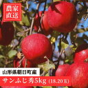 【ふるさと納税】農家直送 山形県 朝日町産 りんご サンふじ 秀 5kg 18or20玉 山形県産 特産 果物 フルーツ リンゴ 林檎 産地直送 秋 冬 送料無料