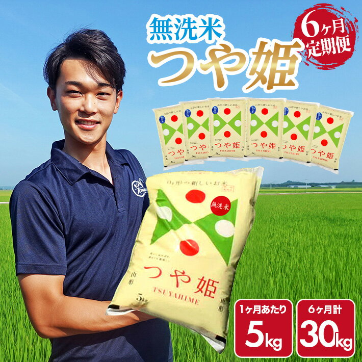 【ふるさと納税】≪6ヶ月定期便≫ 無洗米 特別栽培米 つや姫 5kg×6ヶ月連続 計30kg 山形県庄内産 ご希望期間の毎月中旬頃にお届け 米 お米 精米 白米 定期便 ブランド米
