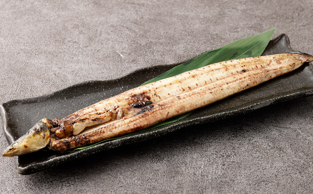 
            熊本県産天然ウナギ素焼き（肝付） 約260g 天然 鰻 うなぎ ウナギ 蒲焼 うな重 ひつまぶし おつまみ 冷凍 熊本県産
          