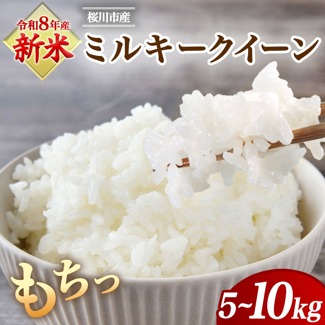 【ふるさと納税】《 令和8年産 》 桜川市産 ミルキークイーン 5kg 10kg 新米 先行予約 茨城県 桜川市 米 お米 白米 コメ ごはん 精米 国産 限定 銘柄米