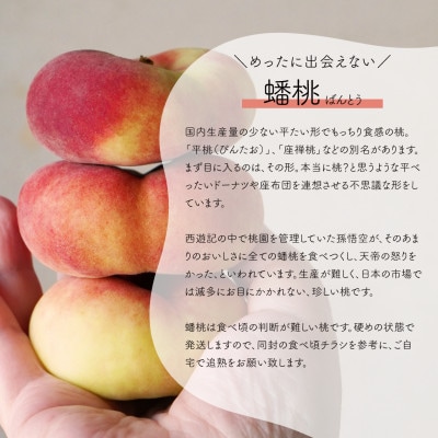 【発送月固定定期便】【きよとうファーム】蟠桃とシャインマスカットの上級品を岡山から産地直送全2回【配送不可地域：離島】