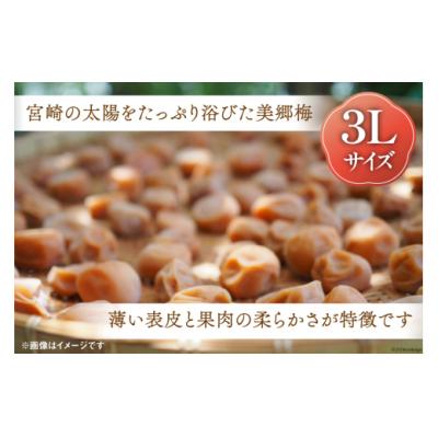ふるさと納税 美郷町 南高梅 梅干し 美郷梅 一粒入り うま味昆布 & シソ風味 各6粒 3Lサイズ [31ab0101] |  | 01