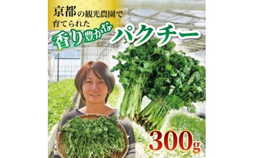 パクチー300g【1688760】