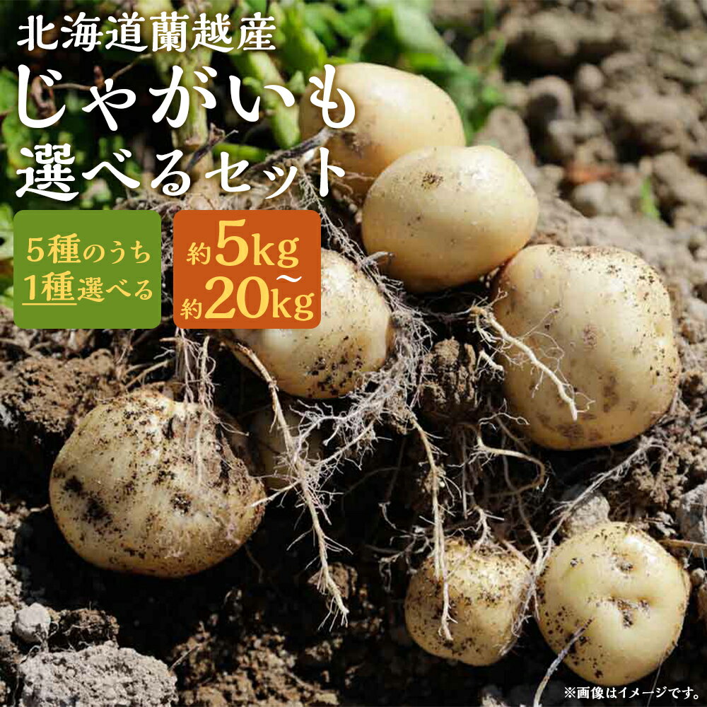 【ふるさと納税】北海道蘭越産じゃがいも 約5kg/約10kg/約20kg 5種類から1種類選べるセット 選べる内容量 男爵 きたあかり とうや メークイン グランドペチカ じゃが芋 芋 野菜 蘭越町産 北海道産 国産 送料無料【2025年11月下旬～2026年4月上旬に順次発送予定】