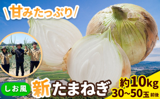 新玉ねぎ【2025年先行予約】 しお風新たまねぎ 約10kg 《5月中旬-5月末頃出荷》 玉ねぎ 新たまねぎ 玉葱 たまねぎ 新玉 野菜 青果物 岡山県 笠岡市