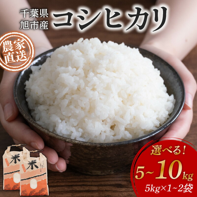 【ふるさと納税】 訳あり 米 コシヒカリ 5kg 〜 10kg 令和7年度 新米 米 こしひかり 選べる 容量 産地直送 こめ おこめ ごはん 白米 お米 精米 ギフト おにぎり 食品 備蓄 防災 ふるさと納税米 国産 送料無料 千葉県 旭市 まる吉園