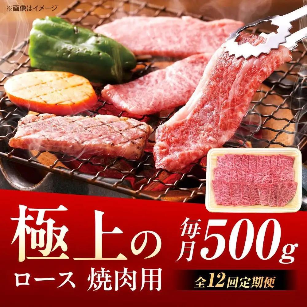 【12回定期便】 佐賀牛 焼肉ロース 500g 焼肉 [UEM057]