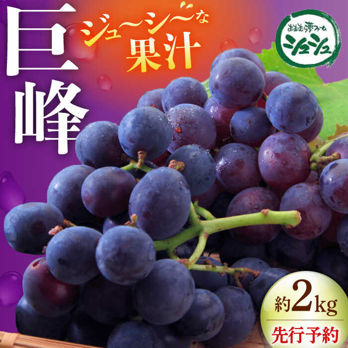 【ふるさと納税】【先行予約：2025年8月中旬より順次発送予定】 巨峰 種あり 約2kg / ぶどう 葡萄 フルーツ / 大村市 / おおむら夢ファームシュシュ[ACAA380]