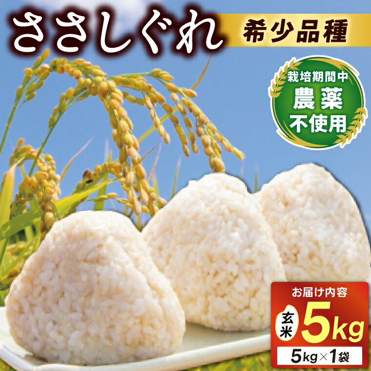 【ふるさと納税】＼新米 10月下旬発送開始予定／ ★令和7年産★ 新米 ささしぐれ 5kg（玄米） ふるさと納税 米 岩手県 (DE008)
