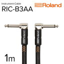 【ふるさと納税】【Roland純正】楽器ケーブル 1m/RIC-B3AA【配送不可：離島】　浜松市