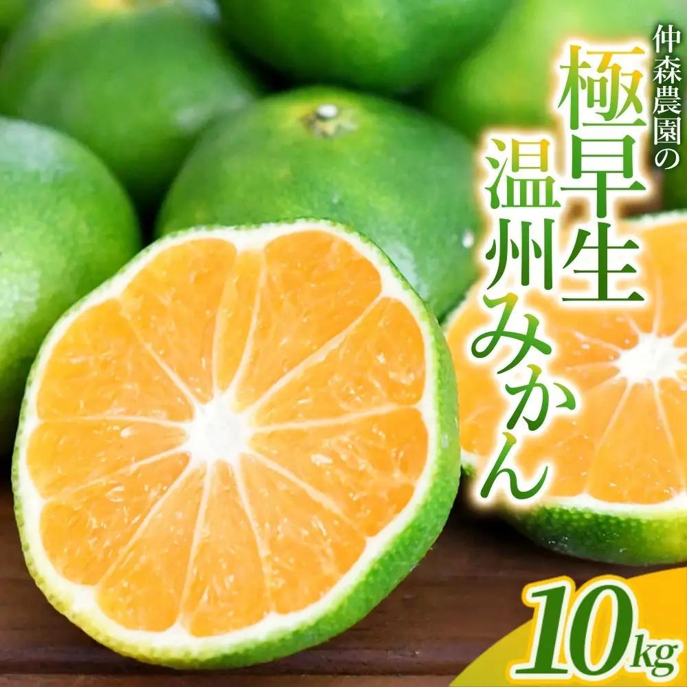 みかん 極早生温州みかん 約10kg【nkmr0018】