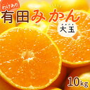 【ふるさと納税】【限定】 【2024年 先行予約】和歌山県産 有田みかん 大玉10kg 2L～3L 訳あり