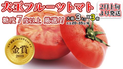 【令和5年2月上旬より順次発送】大玉 フルーツトマト 大箱 3kg × 3箱 【大玉20?35玉/箱】糖度7度以上 美容 トマト とまと 野菜 [BC020sa]