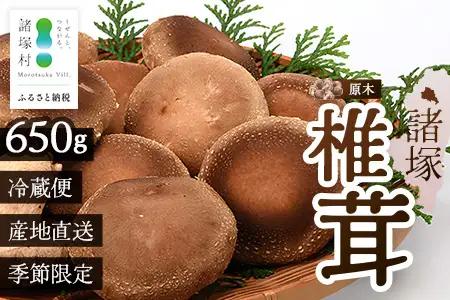 【先行予約】宮崎県諸塚村産 原木生椎茸 約650g［2026年9月～11月ごろにお届け］冷蔵｜しいたけ 生シイタケ きのこ キノコ 原木しいたけ 産地直送 秋の味覚 もろっこはうす MO-30