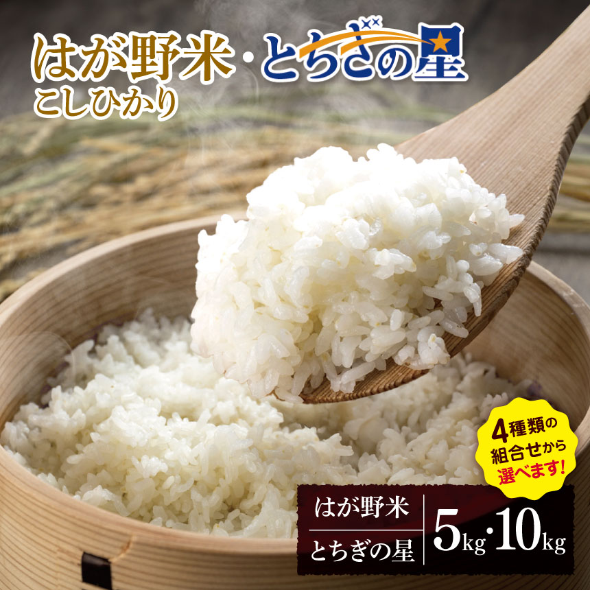 【ふるさと納税】お米 こしひかり とちぎの星 選べる 白米 5kg 10kg ｜ 2025年 令和7年 JAはが野がお届け 真岡産 コシヒカリ 白米 おにぎり シャリ 精米 おこめ 米 ご飯 ごはん ライス コメ 真岡市 栃木県 送料無料