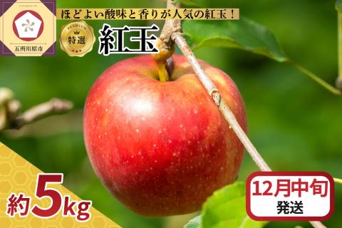 【2025年12月中旬発送】 【特選】りんご 5kg 紅玉 青森