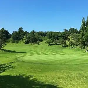 ゴルフ場利用券 平日セルフプレー券 1名様 錦山カントリークラブ
