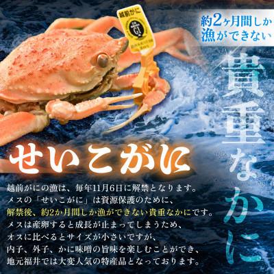 ふるさと納税 あわら市 福井県産せいこがに甲羅盛り 約70g×2杯 / 越前がに |  | 01