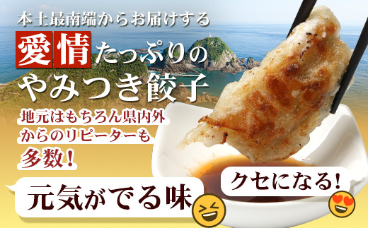 佐多の田中肉屋ニンニクたっぷりやみつき餃子 240個（12個入り×20パック） 餃子のタレ3本付き | ギョウザ にんにく スタミナ餃子 大容量 手作り おかず ビールと一緒に 冷凍 産地直送 鹿児島